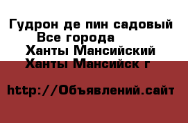 Гудрон де пин садовый - Все города  »    . Ханты-Мансийский,Ханты-Мансийск г.
